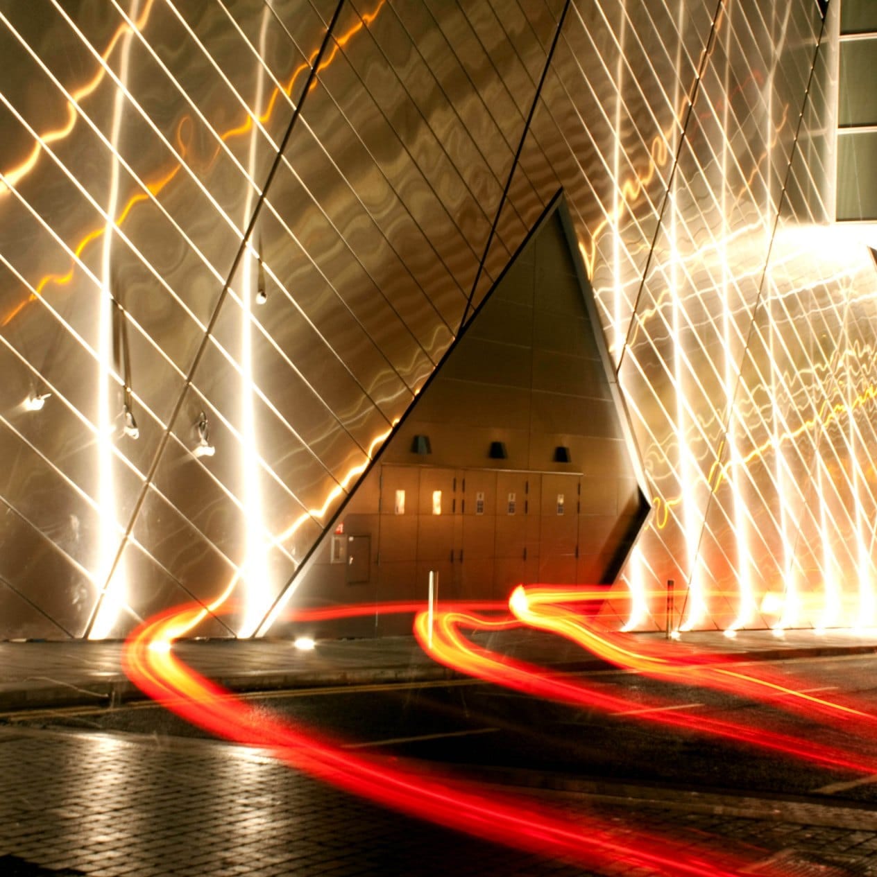 Reflections of the Night