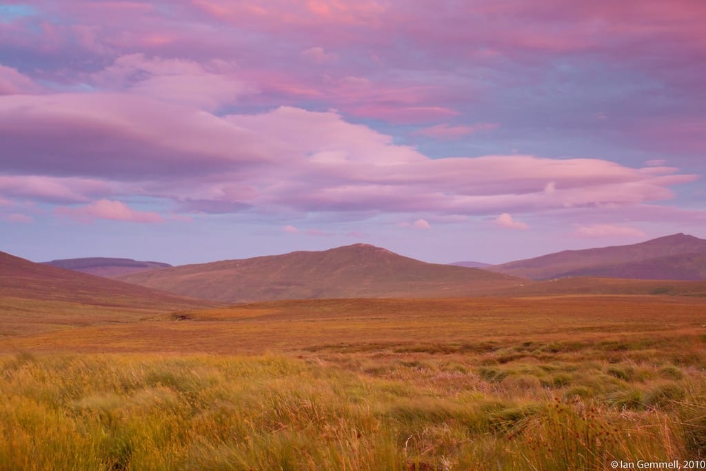 Bogland Sunset