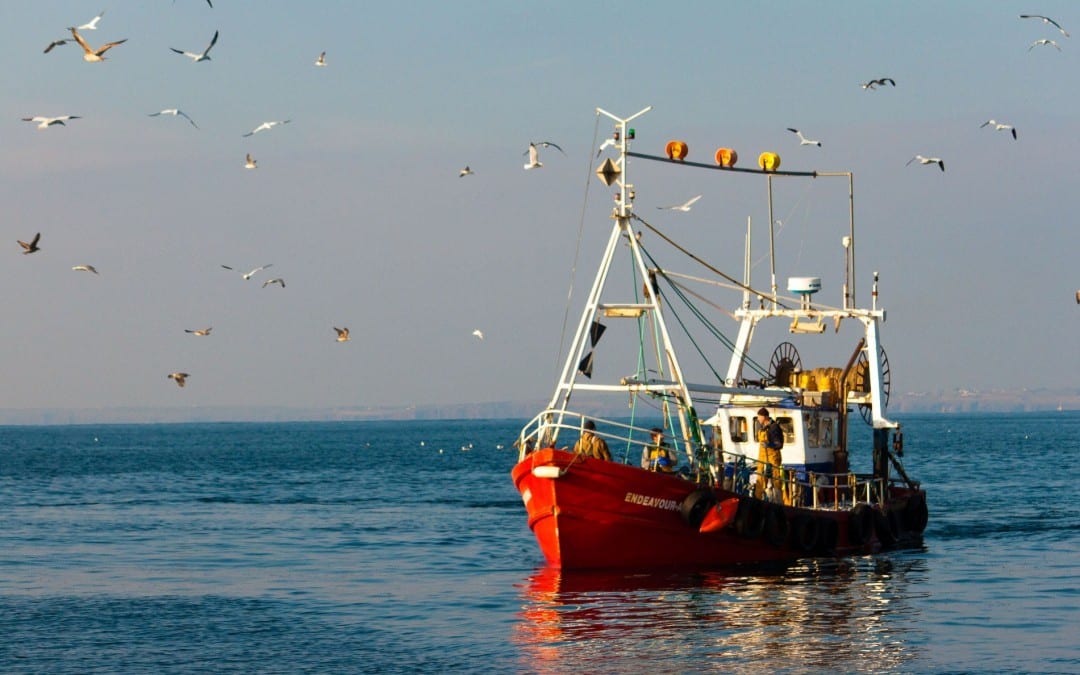 Fishing Boat