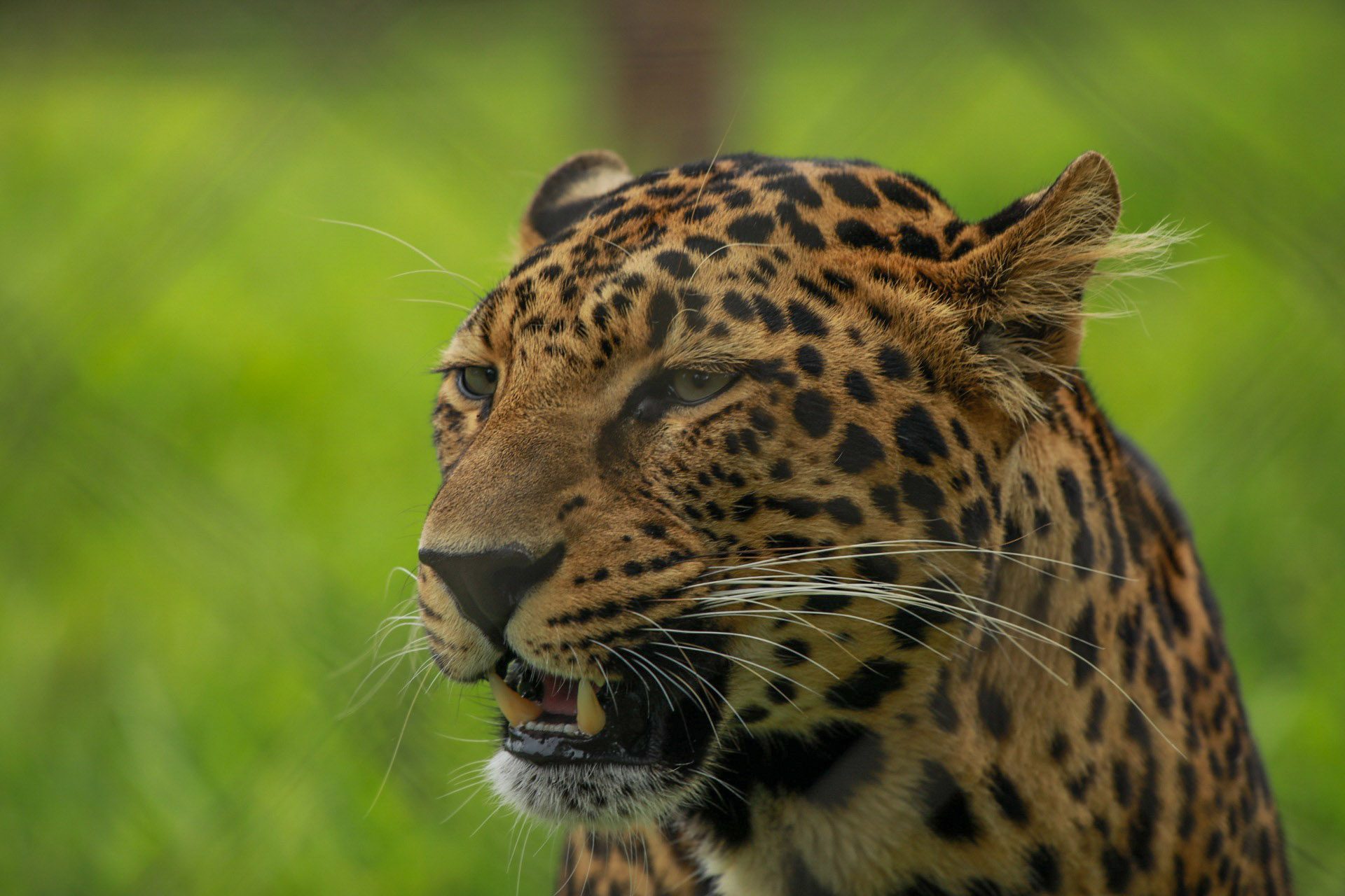 Kruger National Park