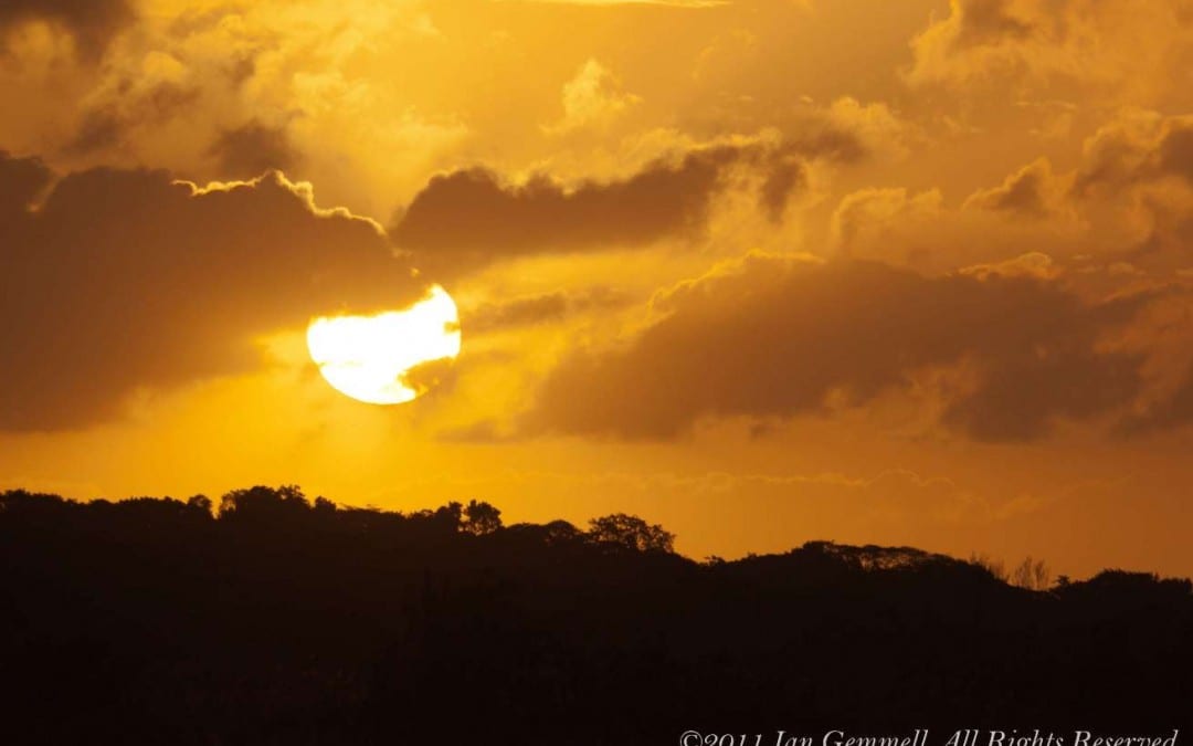 African Sunset