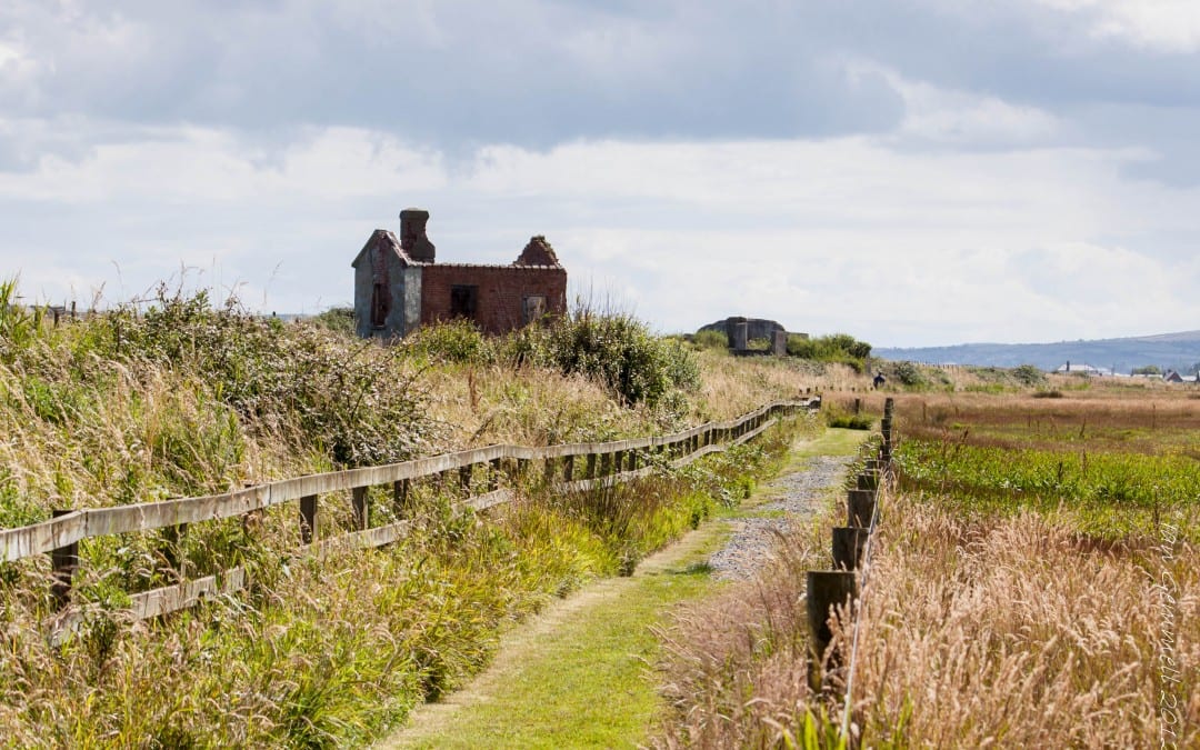 East Coast Nature Reserve