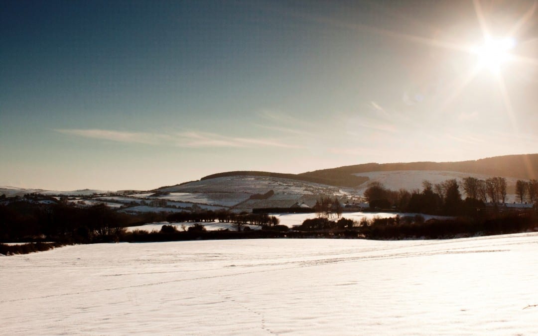 Winter Sunset
