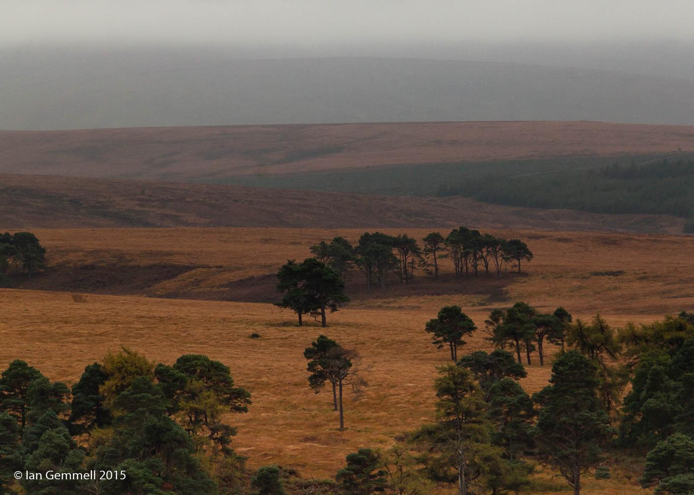 Mist over Sally Gap